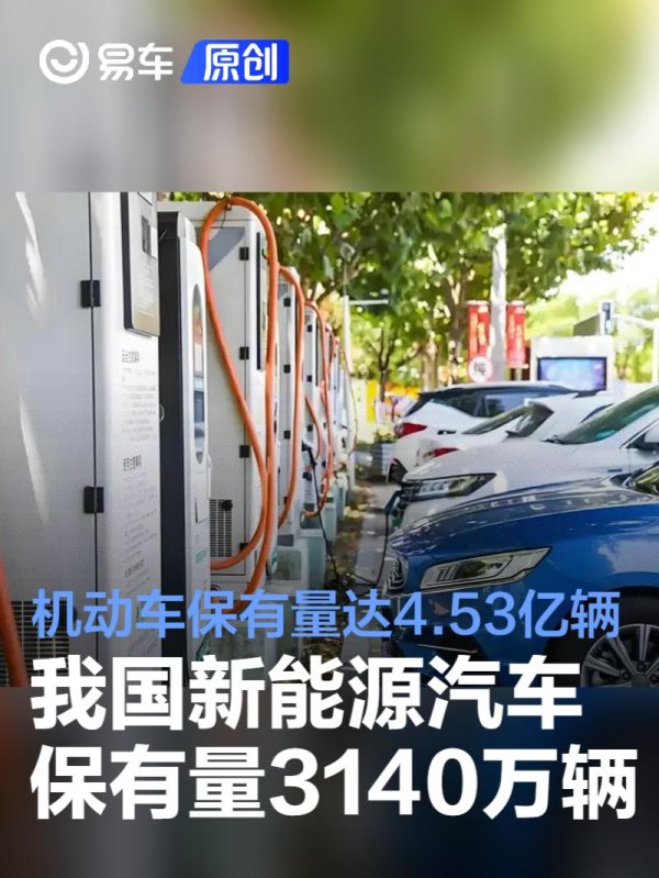 开云体育(中国)官方网站2024年寰球纯真车保有量达4.53亿辆-Kaiyun·体育「全站」登陆入口官方网站登录入口
