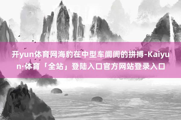 开yun体育网海豹在中型车阛阓的拼搏-Kaiyun·体育「全站」登陆入口官方网站登录入口