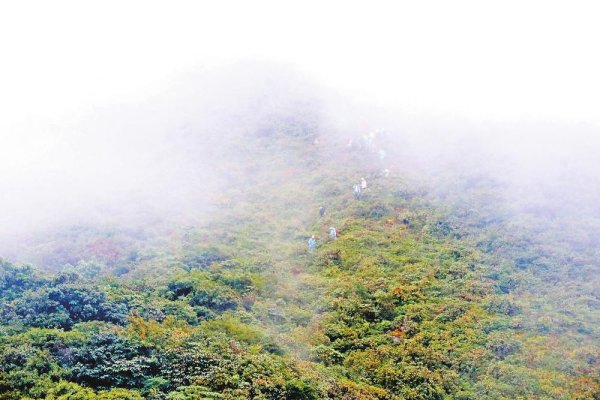 体育游戏app平台哀牢山到底能弗成去？  其实-Kaiyun·体育「全站」登陆入口官方网站登录入口