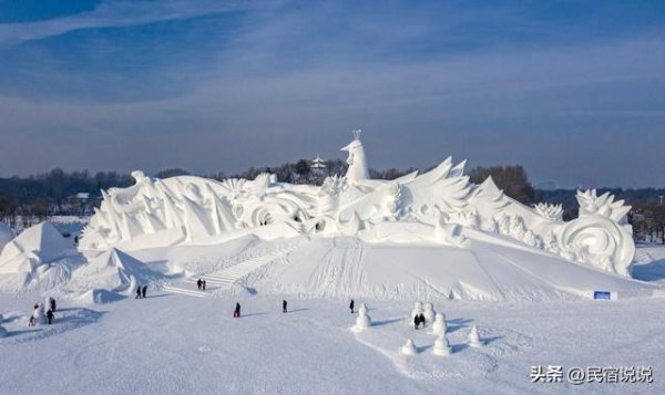 开云(中国)kaiyun网页版登录入口也有花！雪雕、雪景、雾凇-Kaiyun·体育「全站」登陆入口官方网站登录入口